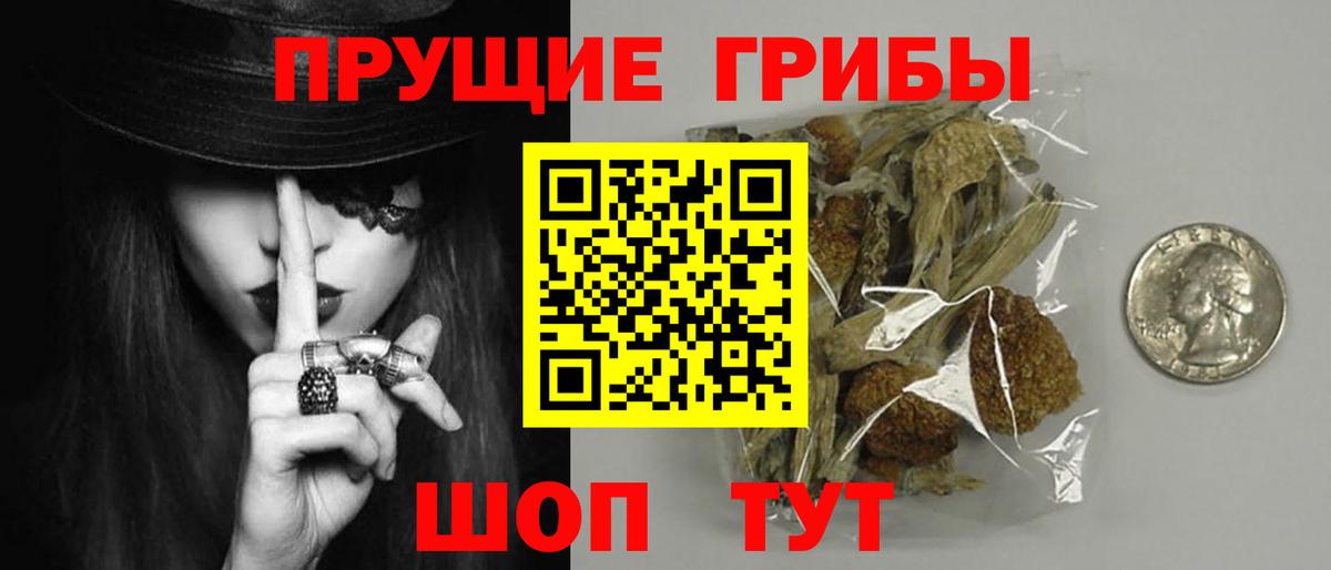 сколько стоит  Вход с VPN  Орск  Галлюциногенные грибы мухоморы 